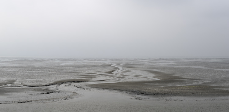 Foto: Stefan Oldenburg - Natur