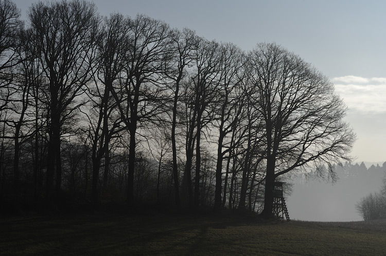 Foto: Stefan Oldenburg - Natur