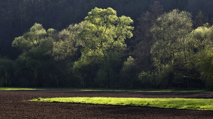 Foto: Stefan Oldenburg - Natur