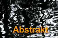 Abstrakt