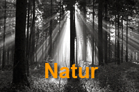 Natur